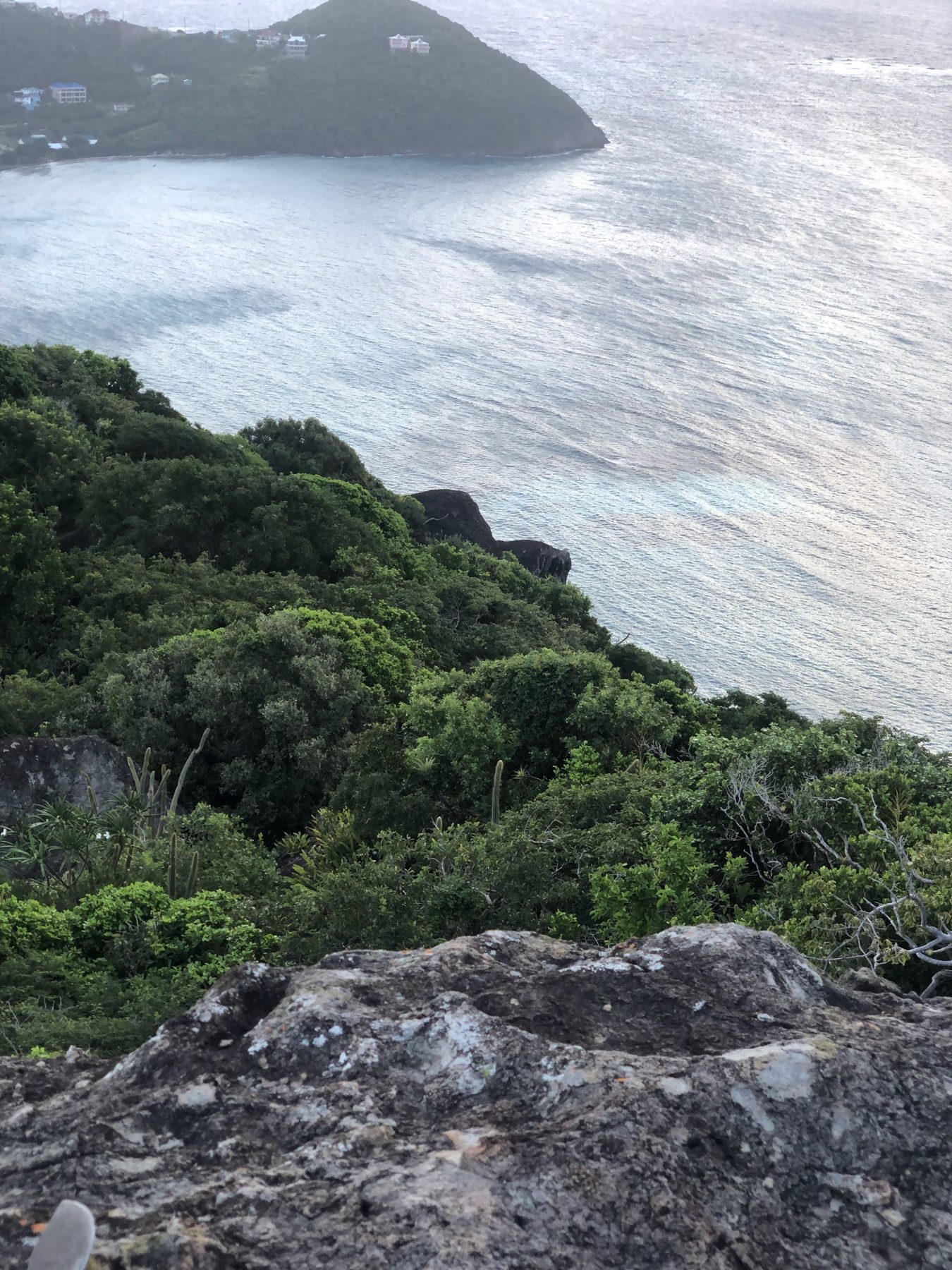View over the green Mantet headland and breaking surf